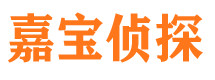 吉木乃嘉宝私家侦探公司